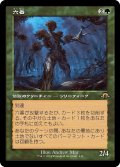 【JPN】六番/Six[MTG_MH3_0430_R]