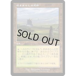 画像1: 【JPN】★Retro Foil★吹きさらしの荒野[MTG_MH3_0440_R]