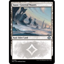 画像1: 【ENG】冠雪の荒地/Snow-Covered Wastes[MTG_MH3_0229_U]