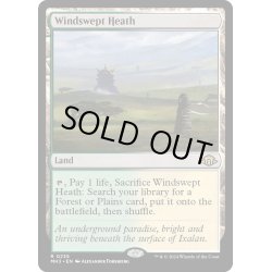 画像1: 【ENG】★Foil★吹きさらしの荒野/Windswept Heath[MTG_MH3_0235_R]