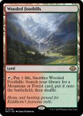 【ENG】樹木茂る山麓/Wooded Foothills[MTG_MH3_0236_R]