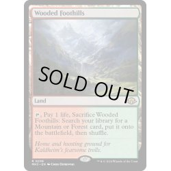 画像1: 【ENG】★Foil★樹木茂る山麓/Wooded Foothills[MTG_MH3_0236_R]