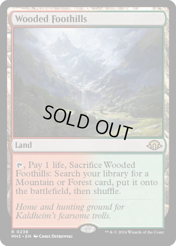 画像1: 【ENG】★Foil★樹木茂る山麓/Wooded Foothills[MTG_MH3_0236_R] (1)