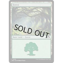 画像1: 【ENG】森/Forest[MTG_MH3_0319_L]