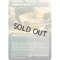 画像1: 【ENG】★Borderless Foil★吹きさらしの荒野/Windswept Heath[MTG_MH3_0360_R]