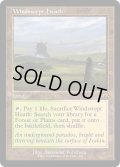 【ENG】★Retro Foil★吹きさらしの荒野/Windswept Heath[MTG_MH3_0440_R]