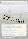 【ENG】★Extended-Art Foil★吹きさらしの荒野/Windswept Heath[MTG_MH3_0466_R]