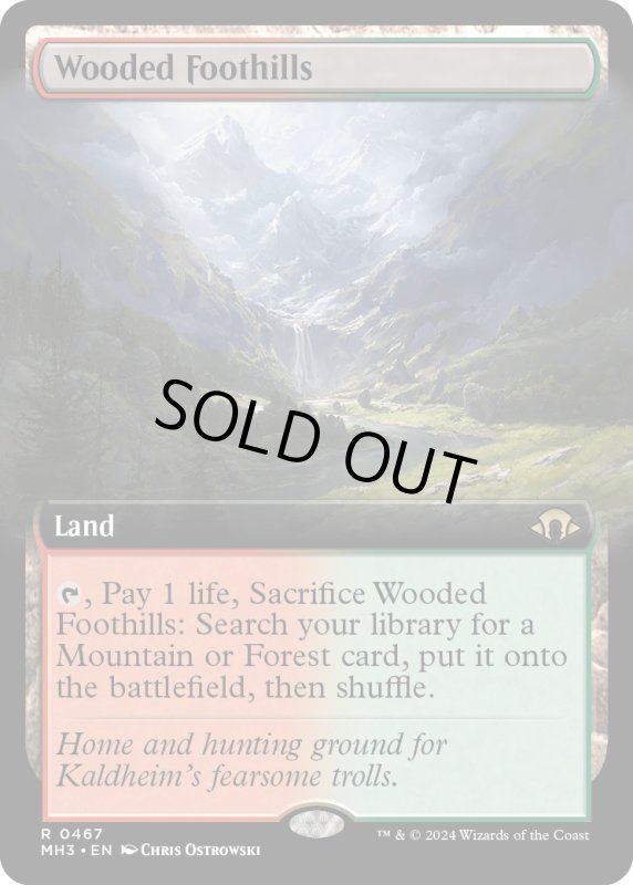 画像1: 【ENG】★Extended-Art Foil★樹木茂る山麓/Wooded Foothills[MTG_MH3_0467_R] (1)