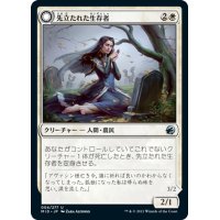 【JPN】不屈の報復者/先立たれた生存者/Dauntless Avenger/Bereaved Survivor[MTG_MID_004U]