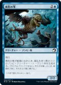 【JPN】異形の隼/Falcon Abomination[MTG_MID_052C]