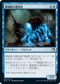 【JPN】難破船の選別者/Shipwreck Sifters[MTG_MID_074C]