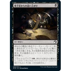 画像1: 【JPN】地下室からの這い上がり/Crawl from the Cellar[MTG_MID_093C]