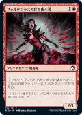 【JPN】ファルケンラスの打ち抜く者/Falkenrath Perforator[MTG_MID_136C]