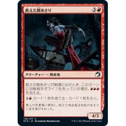 画像1: 【JPN】飢えた餌あさり/Famished Foragers[MTG_MID_138C]