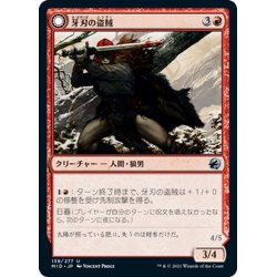 画像1: 【JPN】牙刃の盗賊/牙刃の腸抜き/Fangblade Brigand/Fangblade Eviscerator[MTG_MID_139U]