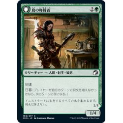 画像1: 【JPN】鳥の称賛者/翼裂き/Bird Admirer/Wing Shredder[MTG_MID_169C]