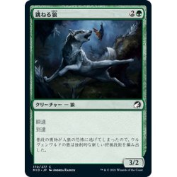 画像1: 【JPN】跳ねる狼/Bounding Wolf[MTG_MID_170C]