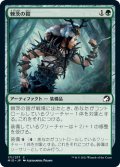 【JPN】棘茨の鎧/Bramble Armor[MTG_MID_171C]