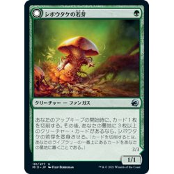 画像1: 【JPN】シボウタケの若芽/巨大シボウタケ/Deathbonnet Sprout/Deathbonnet Hulk[MTG_MID_181U]