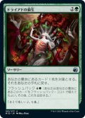 【JPN】ドライアドの蘇生/Dryad's Revival[MTG_MID_183U]