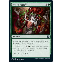 画像1: 【JPN】ドライアドの蘇生/Dryad's Revival[MTG_MID_183U]