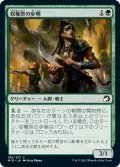 【JPN】収穫祭の歩哨/Harvesttide Sentry[MTG_MID_186C]