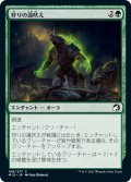 【JPN】狩りの遠吠え/Howl of the Hunt[MTG_MID_188C]