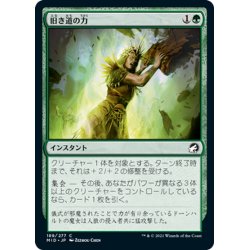 画像1: 【JPN】旧き道の力/Might of the Old Ways[MTG_MID_189C]