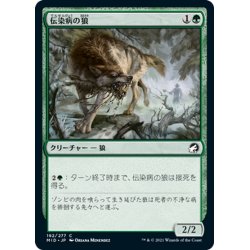 画像1: 【JPN】伝染病の狼/Pestilent Wolf[MTG_MID_192C]