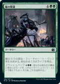 【JPN】蟻の隆盛/Rise of the Ants[MTG_MID_196U]