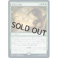 【JPN】収穫祭の襲撃/Storm the Festival[MTG_MID_200R]