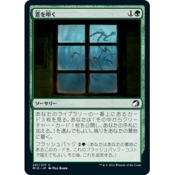 画像1: 【JPN】窓を叩く/Tapping at the Window[MTG_MID_201C]