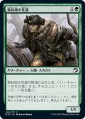 【JPN】森林地の先達/Timberland Guide[MTG_MID_202C]