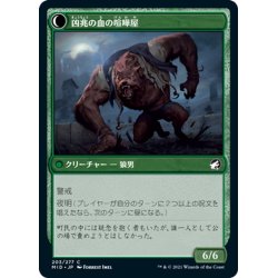 画像2: 【JPN】凶兆の血の喧嘩屋/不屈の運び屋/Dire-Strain Brawler/Tireless Hauler[MTG_MID_203C]