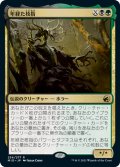 【JPN】年経た枝指/Old Stickfingers[MTG_MID_234R]