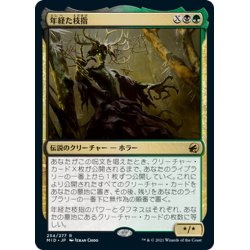 画像1: 【JPN】年経た枝指/Old Stickfingers[MTG_MID_234R]