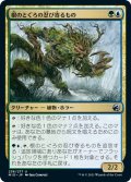 【JPN】根のとぐろの忍び寄るもの/Rootcoil Creeper[MTG_MID_238U]