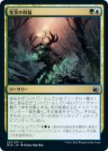 【JPN】冬茨の祝福/Winterthorn Blessing[MTG_MID_251U]