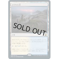 画像1: 【JPN】さびれた浜/Deserted Beach[MTG_MID_260R]