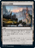 【JPN】進化する未開地/Evolving Wilds[MTG_MID_261C]