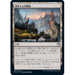 画像1: 【JPN】進化する未開地/Evolving Wilds[MTG_MID_261C]