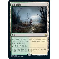 【JPN】草茂る農地/Overgrown Farmland[MTG_MID_265R]