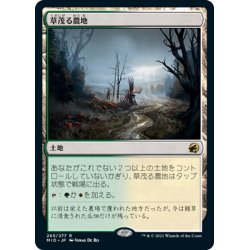 画像1: 【JPN】草茂る農地/Overgrown Farmland[MTG_MID_265R]