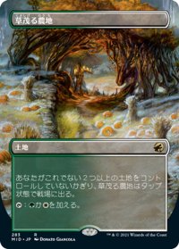 【JPN】草茂る農地/Overgrown Farmland[MTG_MID_283R]