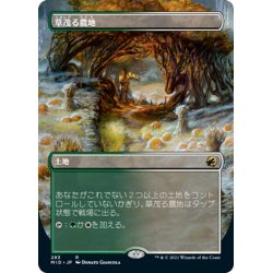 画像1: 【JPN】草茂る農地/Overgrown Farmland[MTG_MID_283R]