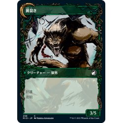 画像2: 【JPN】鳥の称賛者/翼裂き/Bird Admirer/Wing Shredder[MTG_MID_298C]