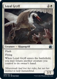 【ENG】忠実なグリフ/Loyal Gryff[MTG_MID_026U]