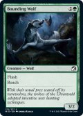 【ENG】跳ねる狼/Bounding Wolf[MTG_MID_170C]