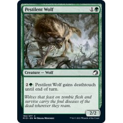 画像1: 【ENG】伝染病の狼/Pestilent Wolf[MTG_MID_192C]