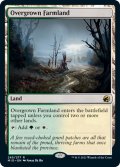 【ENG】草茂る農地/Overgrown Farmland[MTG_MID_265R]